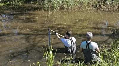 Zwei Personen stehen in Wathosen mit einem Sensor in einem Löschwasserteich.