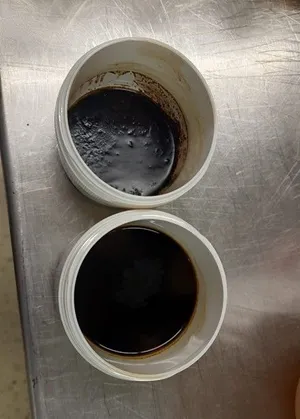 Zu sehen sind zwei Eimer mit extrahierten Inhaltsstoffen aus Eichenlaub